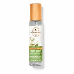 Bath & Body Works Eucalyptus Spearmint Travel Size Essential Oil Mist 29 Ml