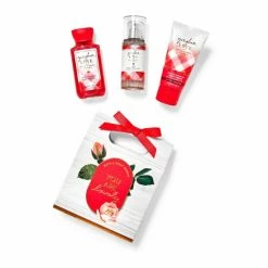 Bath & Body Works Gingham Love Mini Gift Box Set