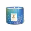 Bath & Body Works Copper Coconut Sands Copper Coconut Sands 3 Wick Candle