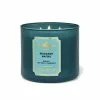 Bath & Body Works Bergamot Waters 3-Wick Candle 411 G -Bath & Body Works Shop unnamed file 383