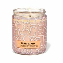 Bath & Body Works Island Papaya Island Papaya Single Wick Candle