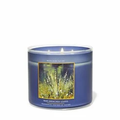 Bath & Body Works Rain Drenched Leaves Rain Drenched Leaves 3 Wick Candle 411g