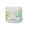 Bath & Body Works Clear Eucalyptus Springs 3Wick Candle -Bath & Body Works Shop unnamed file 445