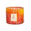 Bath & Body Works Sweet Red Mango 3-Wick Candle 411 G -Bath & Body Works Shop unnamed file 508