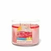 Bath & Body Works Watermelon Lemonade Watermelon Lemonade 3Wick Scented Candle 411g 1 Bath & Body Works Watermelon Lemonade Watermelon Lemonade 3Wick Scented Candle 411g -Bath & Body Works Shop unnamed file 518