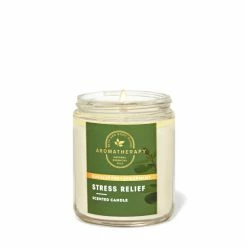 Bath & Body Works Eucalyptus Spearmint Eucalyptus Spearmint Single Wick Candle 7 Oz / 198g