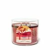 Bath & Body Works The Perfect Summer The Perfect Summer 3Wick Scented Candle 411g -Bath & Body Works Shop unnamed file 540