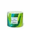 Bath & Body Works Sour Melon Drop 3Wick Scented Candle 411g 1 Bath & Body Works Sour Melon Drop 3Wick Scented Candle 411g -Bath & Body Works Shop unnamed file 582