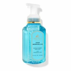 Bath & Body Works Crisp Morning Air Gentle Foaming Hand Soap 8.75 Fl Oz / 259 ML