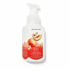 Bath & Body Works Peach Bellini Gentle Clean Foaming Hand Soap 259 ML 1 Bath & Body Works Peach Bellini Gentle Clean Foaming Hand Soap 259 ML -Bath & Body Works Shop unnamed file 620