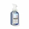 Bath & Body Works Turquoise Waters Gentle Foaming Hand Soap -Bath & Body Works Shop unnamed file 648