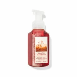 Bath & Body Works Coastal Watermelon Gentle Foaming Hand Soap 259ml