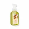 Bath & Body Works Sunshine And Lemons Gentle Foaming Hand Soap 1 Bath & Body Works Sunshine And Lemons Gentle Foaming Hand Soap -Bath & Body Works Shop unnamed file 708
